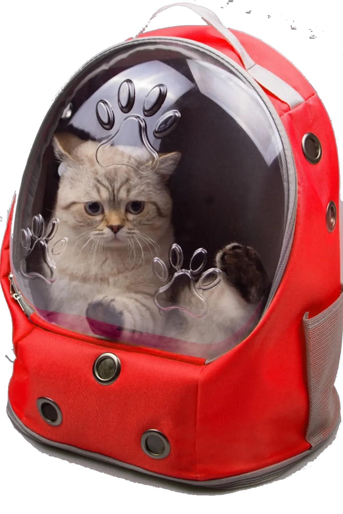 Bemoty%20Kedi%20Taşıma%20Astronot%20Sırt%20Çantası