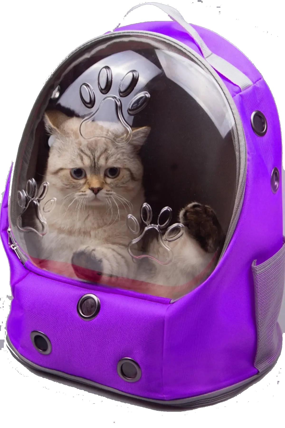 Bemoty%20Kedi%20Taşıma%20Astronot%20Sırt%20Çantası